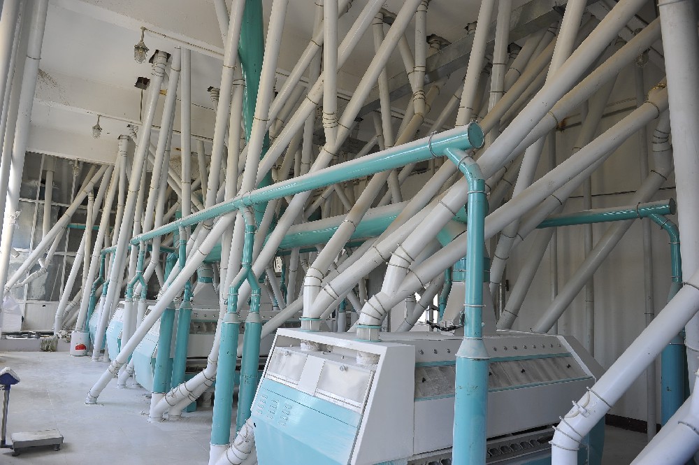 药品生产设施维护新篇章：醇酸磁漆的革新应用与优势