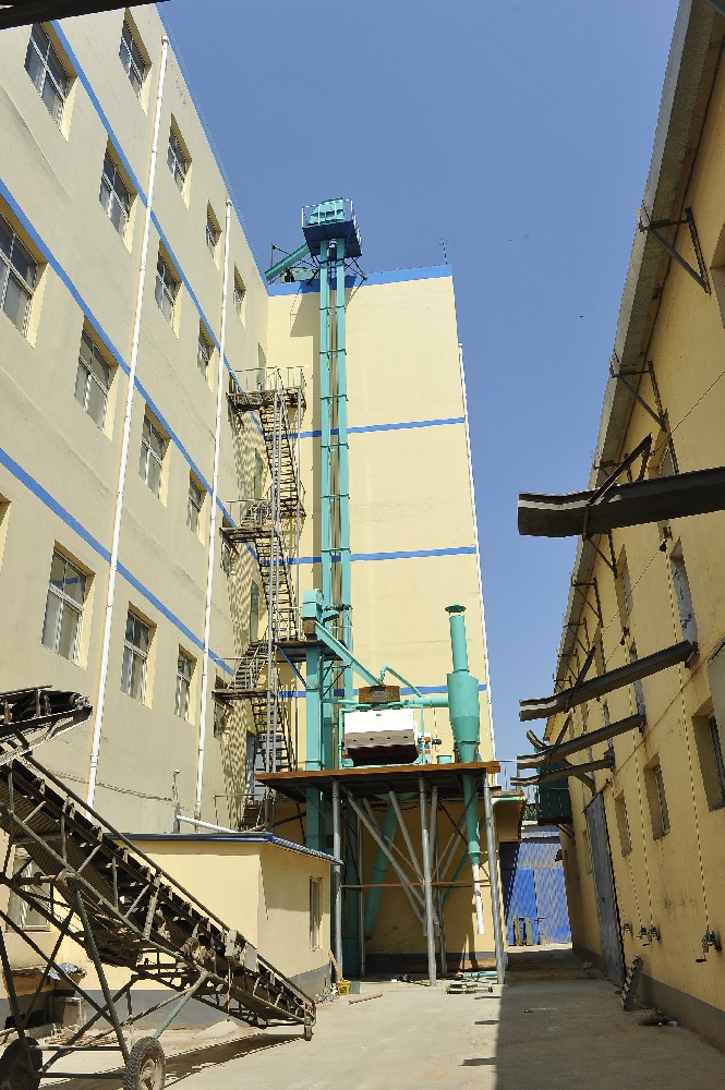 建筑外墙的焕新之。捍妓崦嫫岬奈び朊阑