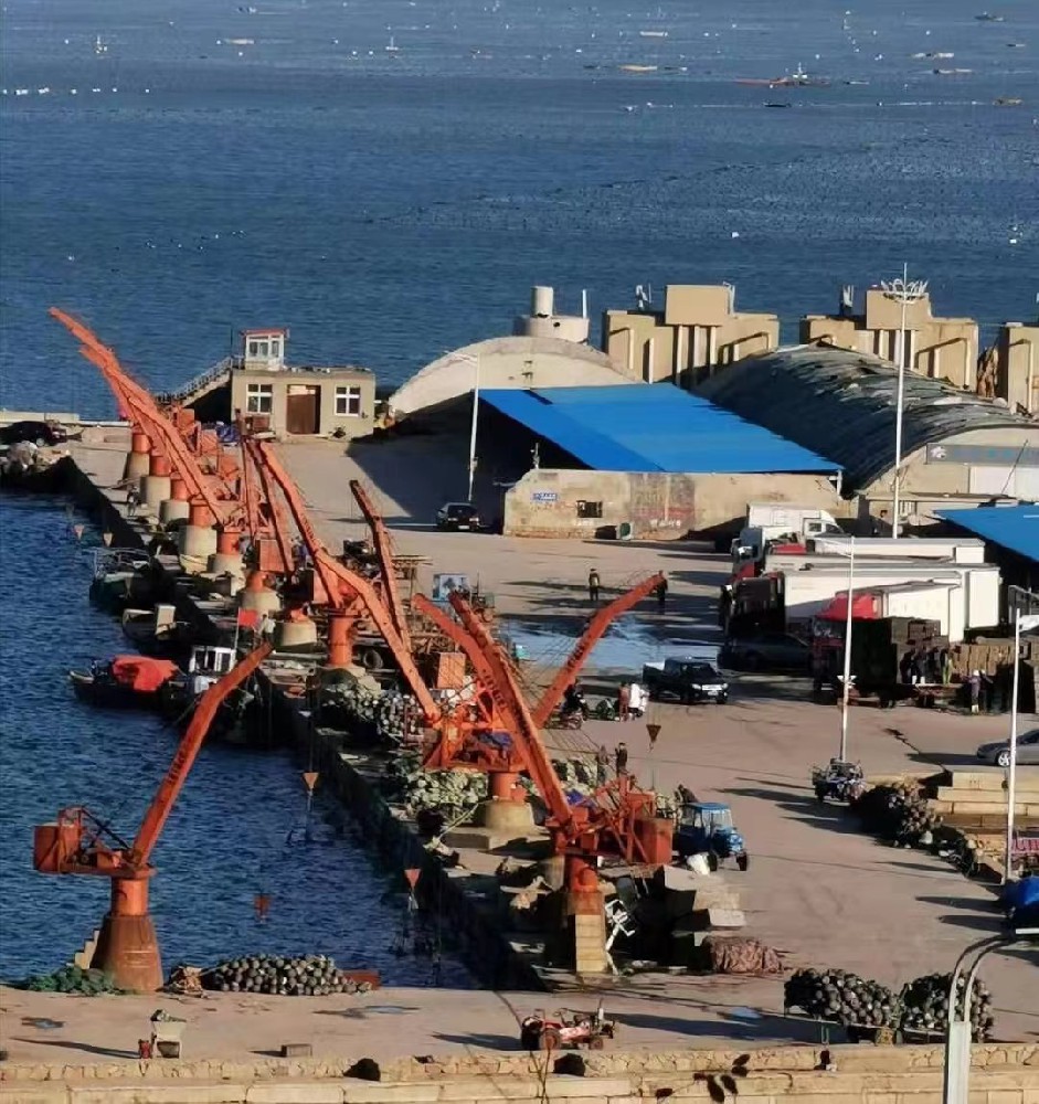 构建市场安全防护网，护航经销商共赢之路