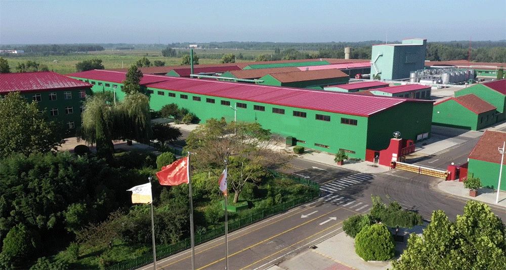 三体系认证是k8凯发良好企业形象的佐证！